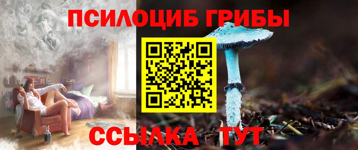 Лесозаводск  Галлюциногенные грибы MAGIC MUSHROOMS  Вход с VPN 